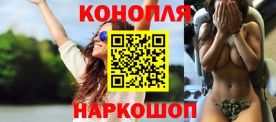 крисы Чебоксары